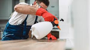 Best Pest Control for Multi-Family Homes  in Stockbridge, MI